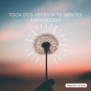 Image post by @alejandrocardozo_oficial on Instagram