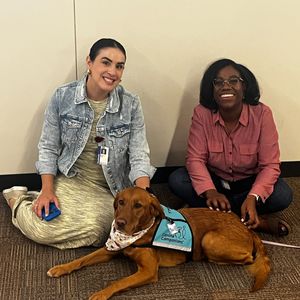 Image post by @canineorg on Instagram