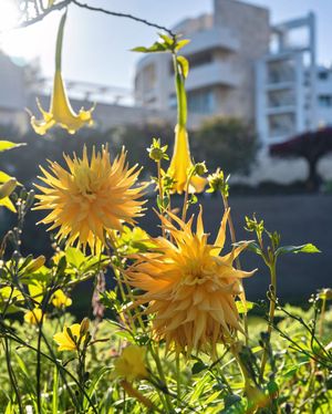 Image post by @gettymuseum on Instagram