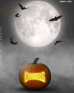 Image post by @gogriffs on Instagram