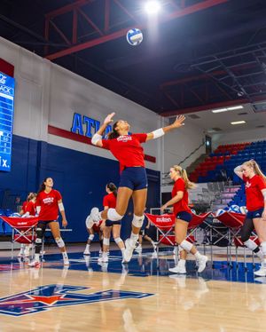 Image post by @fauvolleyball on Instagram