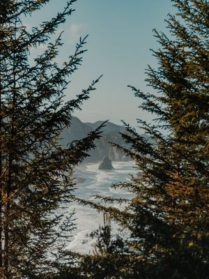 Image post by @fujifilmx_us on Instagram