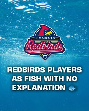 Image post by @memphisredbirds on Instagram
