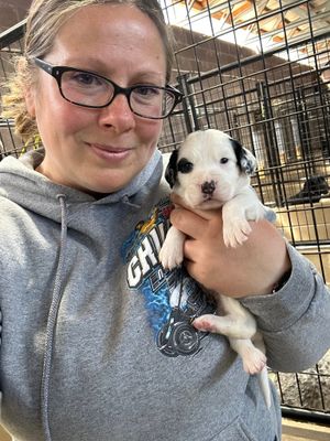 Image post by @nikki.ondrejka on Instagram