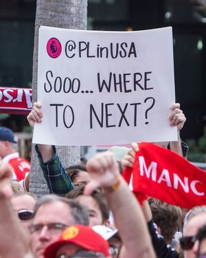 Image post by @plinusa on Instagram