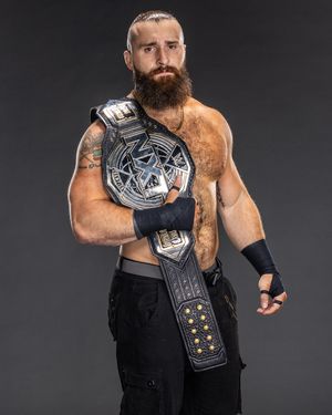 Image post by @wwenxt on Instagram