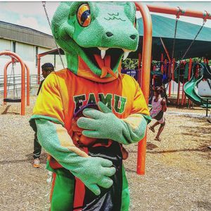 Image post by @famuathletics on Instagram