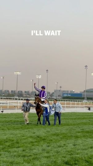 Video post by @worldhorseracing on Instagram