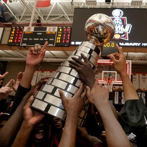 Image post by @ucalgarydinos on Instagram