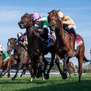 Image post by @juddmonte on Instagram