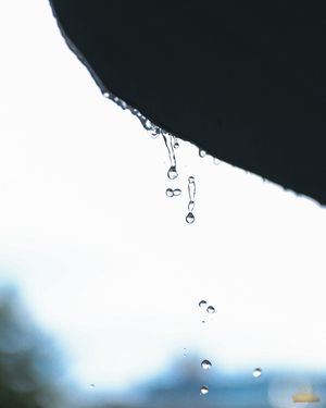 Image post by @uncwtrackxc on Instagram