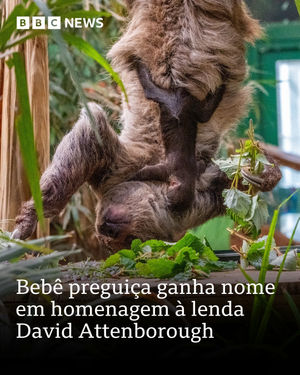 Image post by @bbcbrasil on Instagram