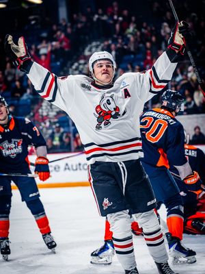 Image post by @ohlicedogs on Instagram