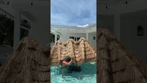 Video post by @dalton.chandlerr on YouTube