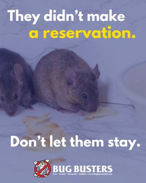 Image post by @bugbustersusa on Instagram