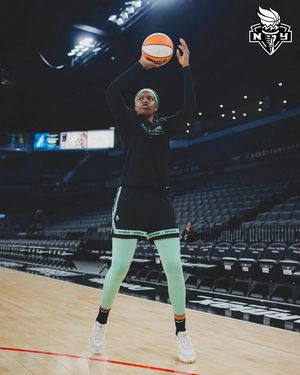 Image post by @nyliberty on Facebook