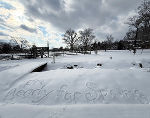 Image post by @burpeegardening on Instagram