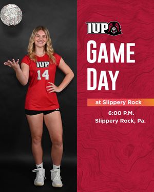 Image post by @iupvolleyball on Instagram