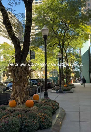 Video post by @smartcitychicago on TikTok