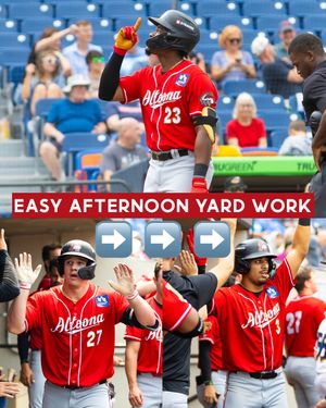 Image post by @altoonacurve on Instagram