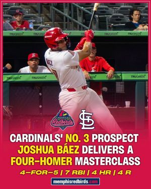 Image post by @memphisredbirds on Instagram