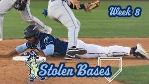 Video post by @wilmbluerocks on YouTube