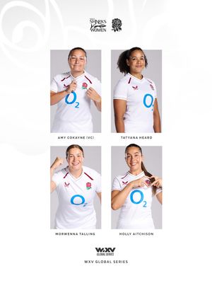 Image post by @salesharkswomen on Instagram