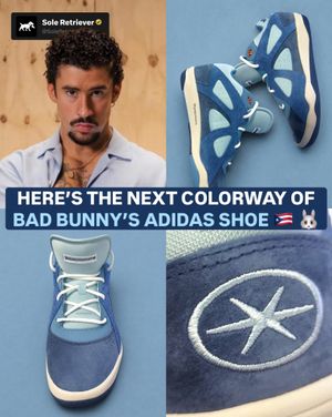Image post by @soleretriever on Instagram