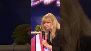 Video post by @gottalentglobal on YouTube