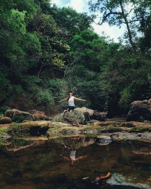Image post by @vamospuesandres on Instagram