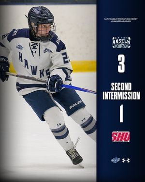 Image post by @stahawkswhockey on Instagram