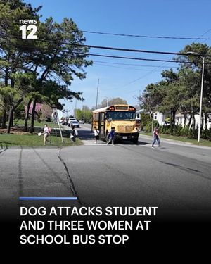 Image post by @news12li on Instagram