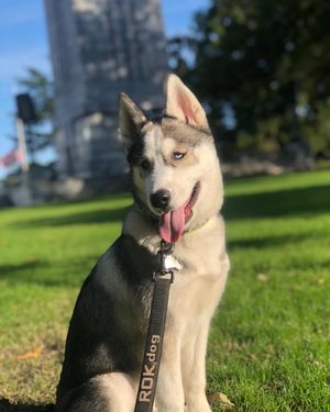 Image post by @andycosgrove on Instagram