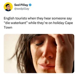 Image post by @sedpillay on Instagram