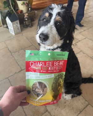 Image post by @charlee_bear_dogtreats on Instagram