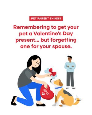 Image post by @petsmart on Instagram