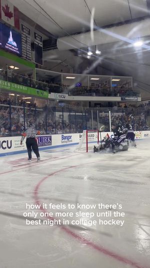 Video post by @abbywanyek on TikTok