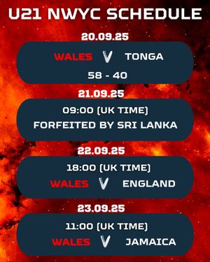 Image post by @walesnetball_ on Instagram