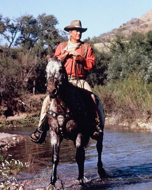 Image post by @johnwayneofficial on Instagram