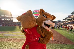 Image post by @UHouston on Twitter