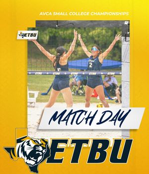 Image post by @goetbutigers on Instagram
