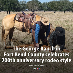 Image post by @houstonpubmedia on Instagram