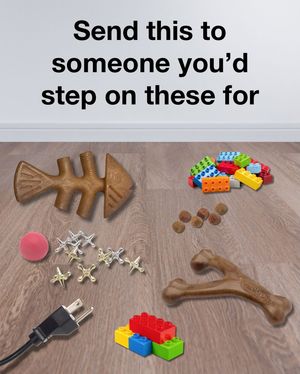 Image post by @mybenebone on Instagram