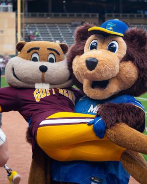 Image post by @gopherspiritsquad on Instagram