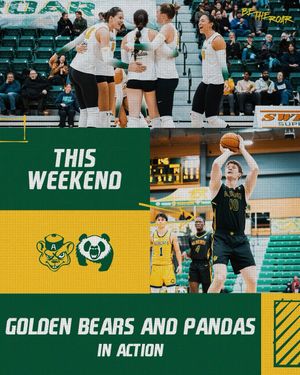 Image post by @bearsandpandas on Instagram