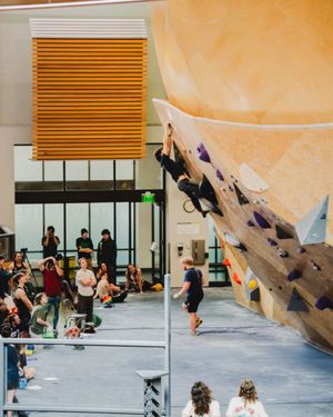 Image post by @uorecreation on Instagram