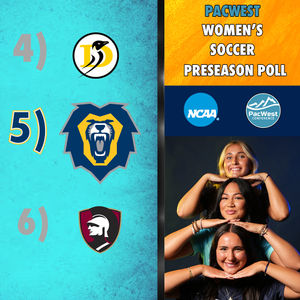 Image post by @vulions on Instagram