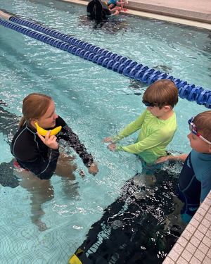 Image post by @donner-swim-club-dsc-swim-lessons on Facebook