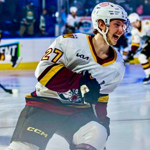 Image post by @Chicago_Wolves on Twitter