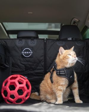 Image post by @nissanusa on Instagram